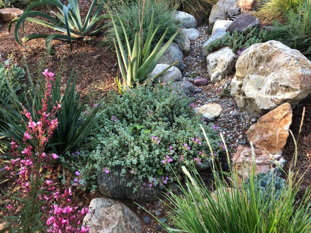 Colorful Watershed Front Landscape