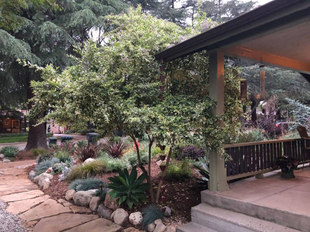 Colorful Watershed Front Landscape in Los Angeles by Ketti Kupper Conscious Life Design 11