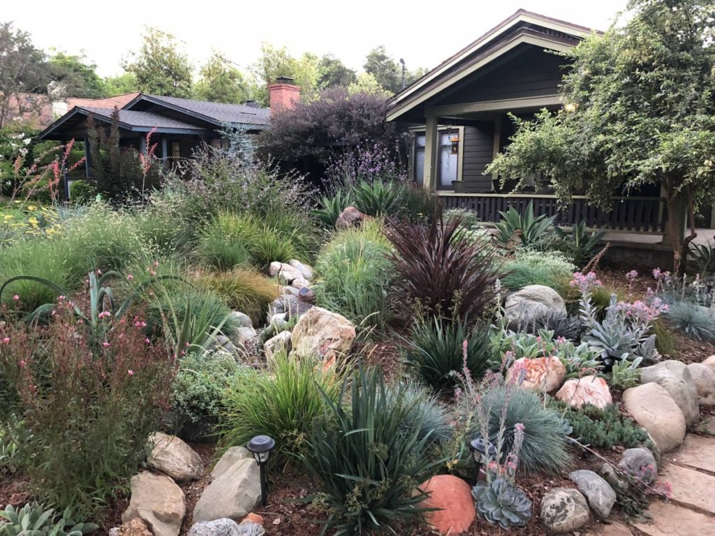 Colorful Watershed Front Landscape in Los Angeles by Ketti Kupper Conscious Life Design 12