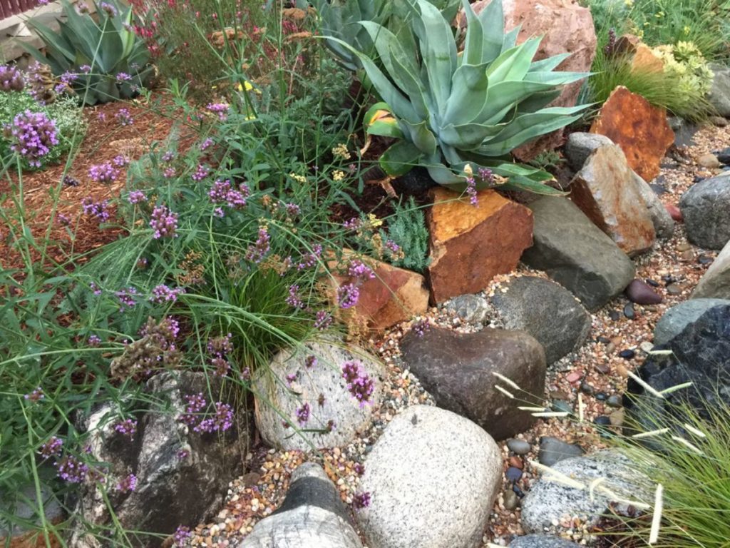Colorful Watershed Front Landscape in Los Angeles by Ketti Kupper Conscious Life Design 14