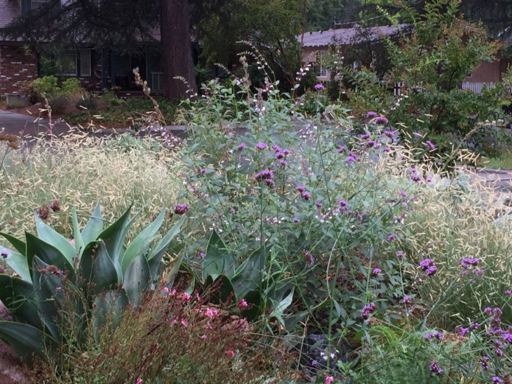 Colorful Watershed Front Landscape in Los Angeles by Ketti Kupper Conscious Life Design 15