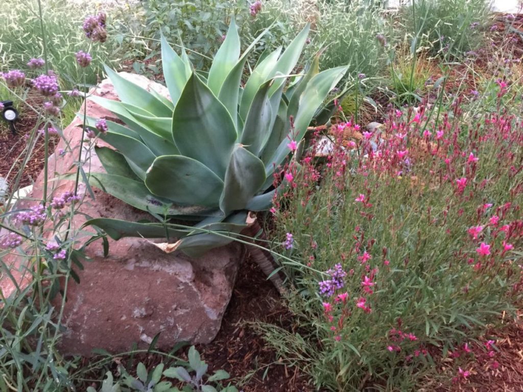 Colorful Watershed Front Landscape in Los Angeles by Ketti Kupper Conscious Life Design 16