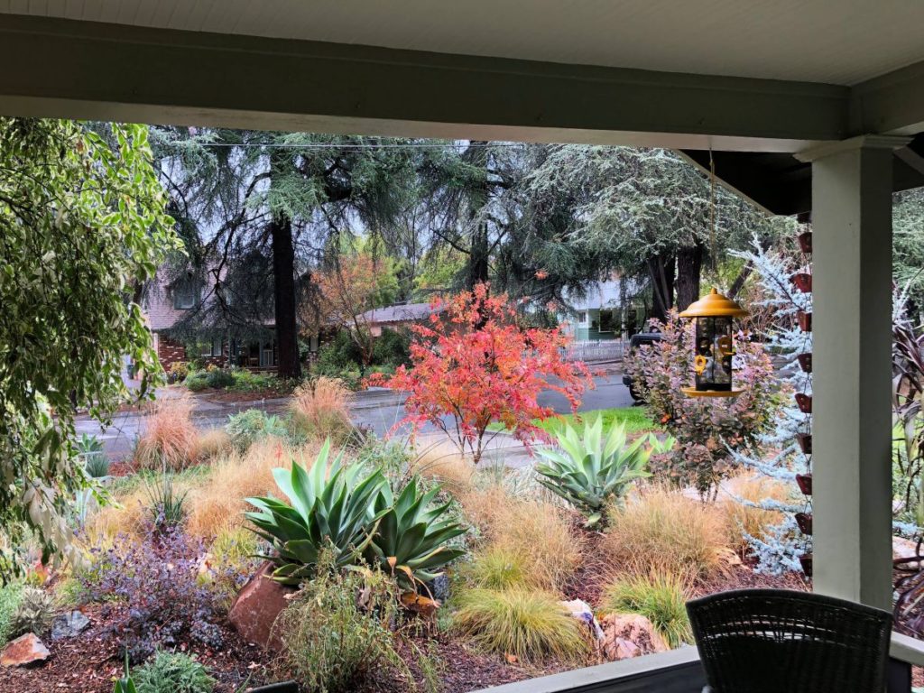 Colorful Watershed Front Landscape