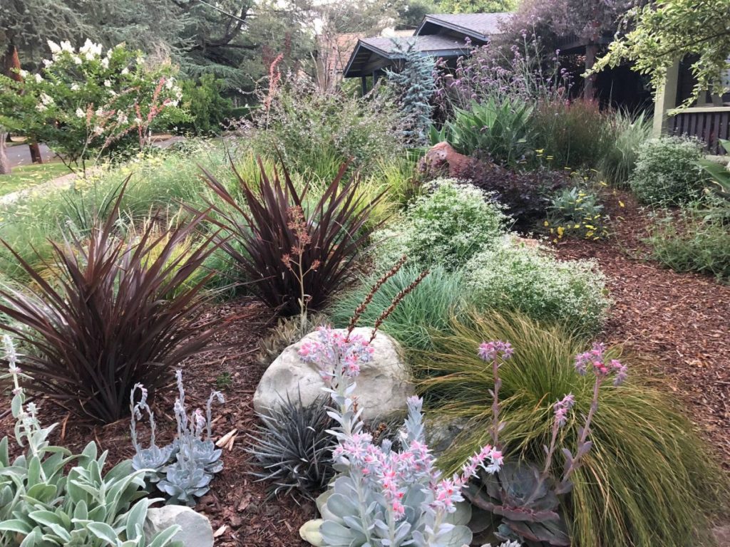 Colorful Watershed Front Landscape