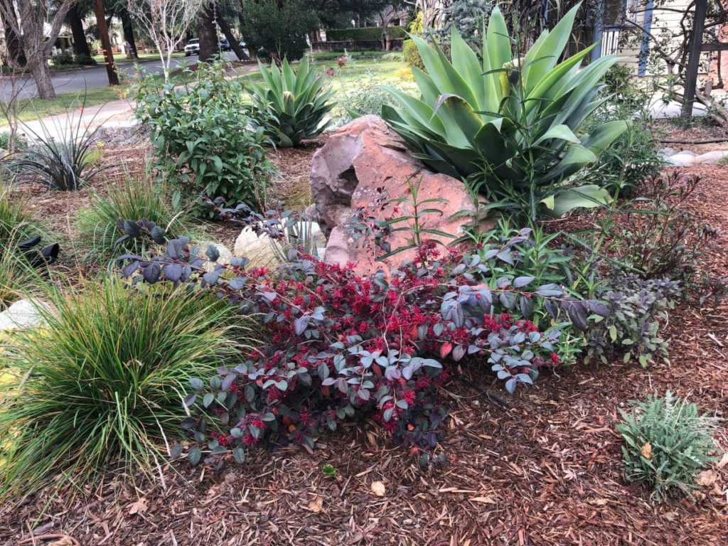 Colorful Watershed Front Landscape