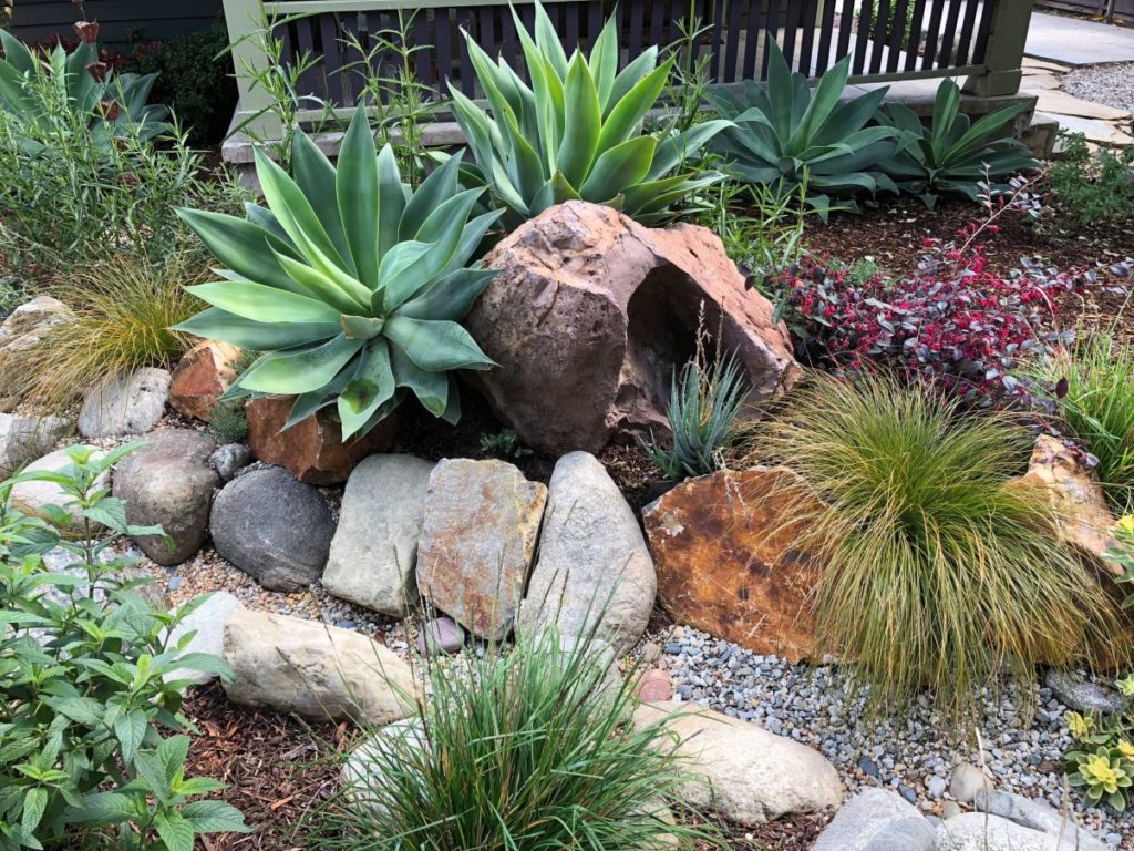 Colorful Watershed Front Landscape