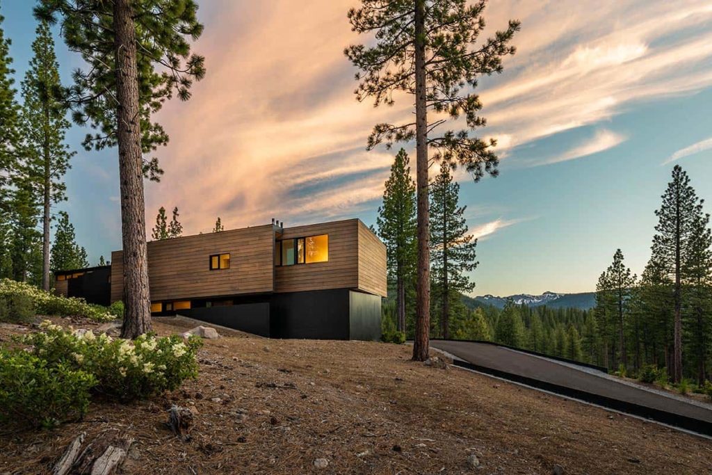 Fallen Leaf Modern Masterpiece