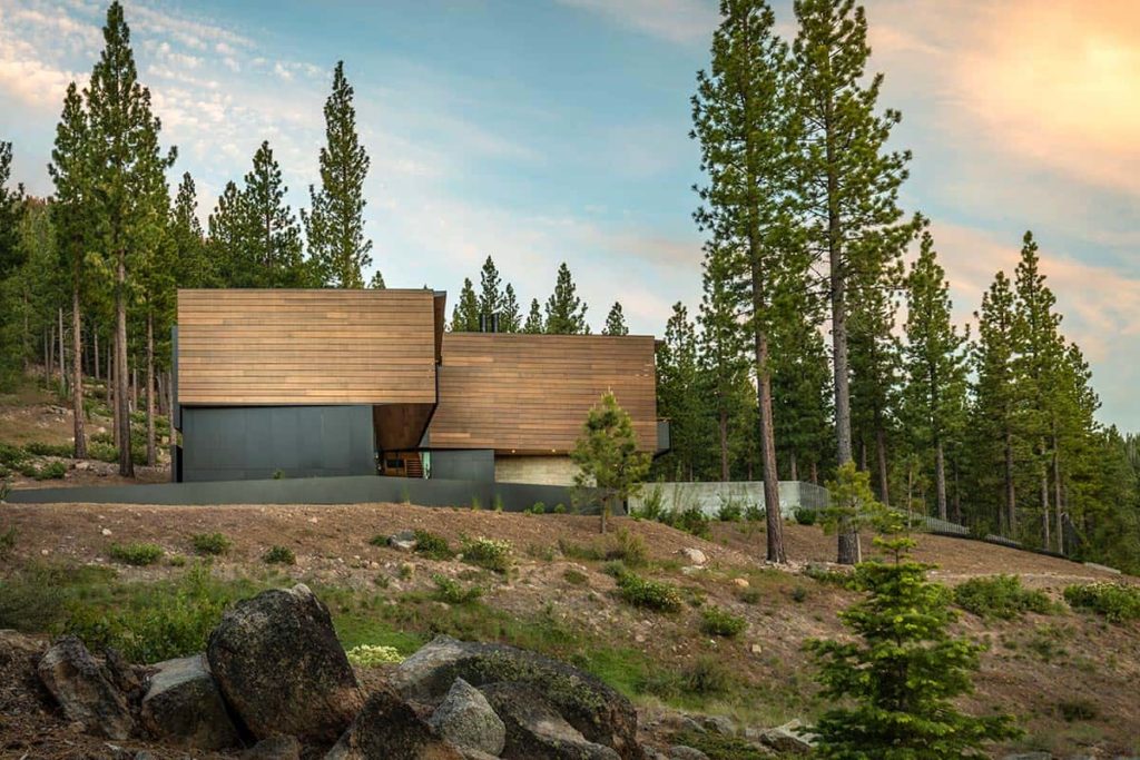 Fallen Leaf Modern Masterpiece