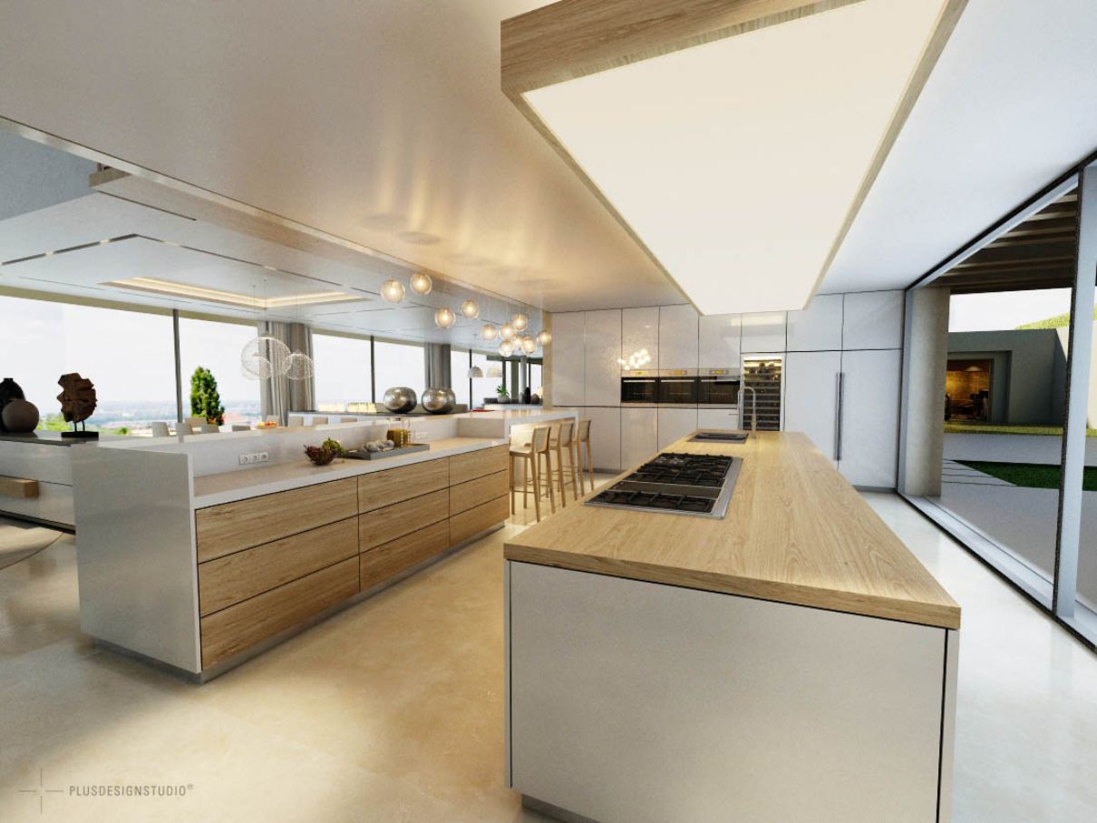 Conceptual Design for Modern Villa in Budapest Hungary by Toth Project 10