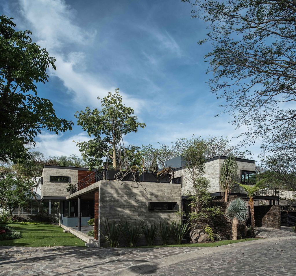 Kalyvas House completely Integrate Environment by Di Frenna Arquitectos 3