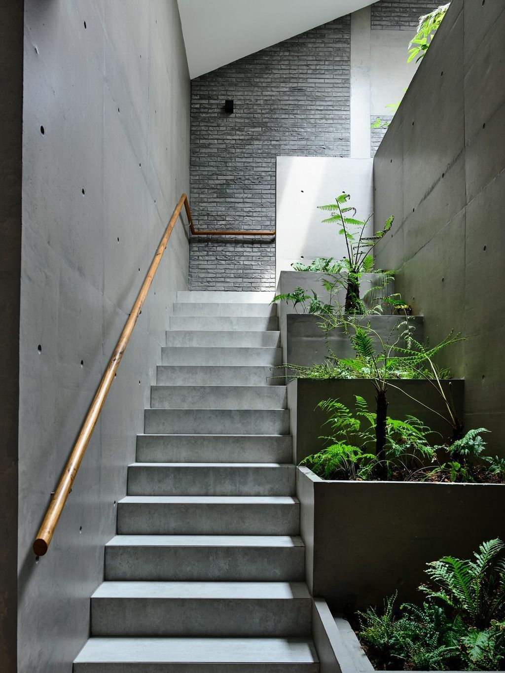 Surprising Seclusion House an Inward looking Home by HYLA Architects 12