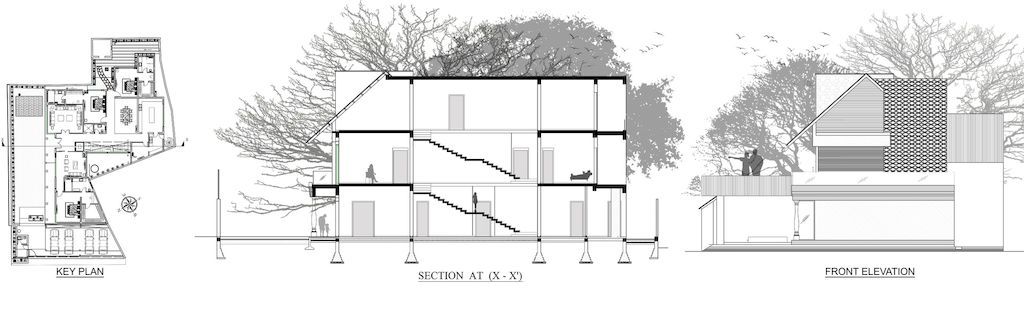ELEVATION SECTION result compressed