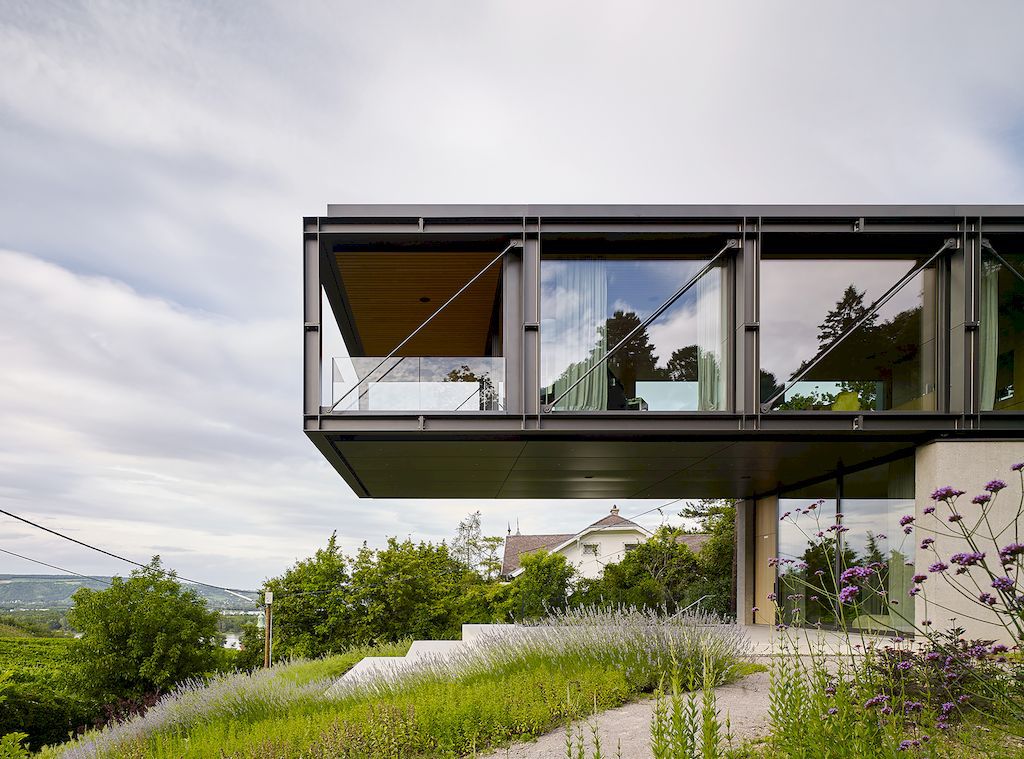 House in the Vineyards by Dietrich Untertrifaller Alexander Janowsky 16