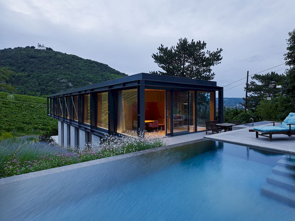 House in the Vineyards by Dietrich Untertrifaller & Alexander Janowsky