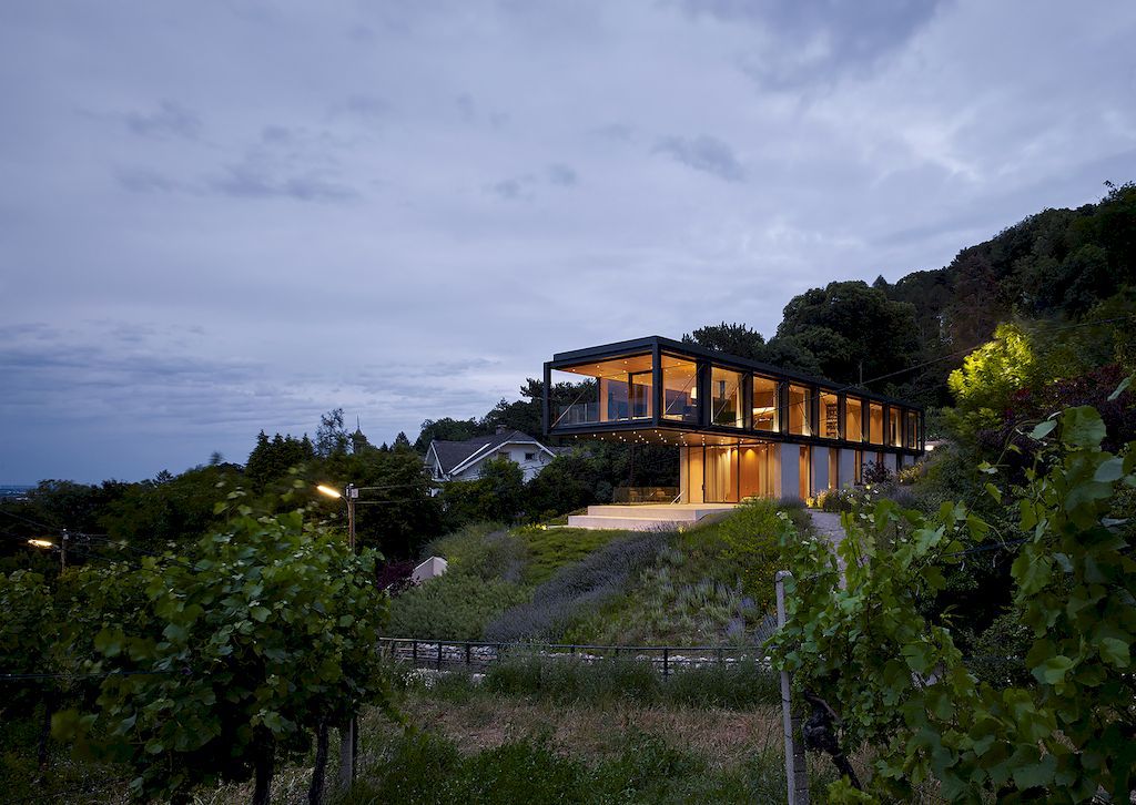 House in the Vineyards by Dietrich Untertrifaller Alexander Janowsky 18