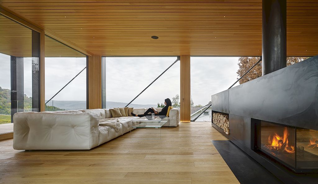 House in the Vineyards by Dietrich Untertrifaller & Alexander Janowsky
