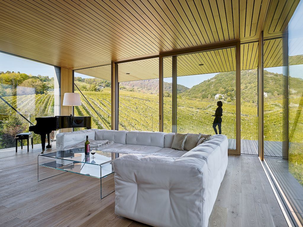 House in the Vineyards by Dietrich Untertrifaller Alexander Janowsky 4