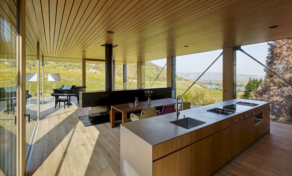 House in the Vineyards by Dietrich Untertrifaller Alexander Janowsky 6
