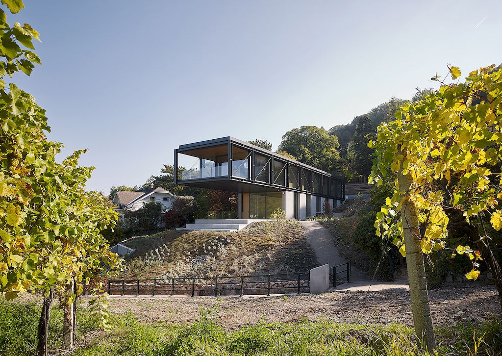 House in the Vineyards by Dietrich Untertrifaller & Alexander Janowsky