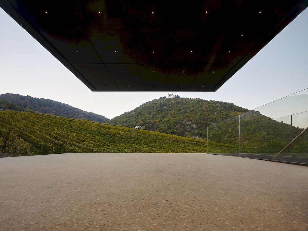 House in the Vineyards by Dietrich Untertrifaller Alexander Janowsky 8