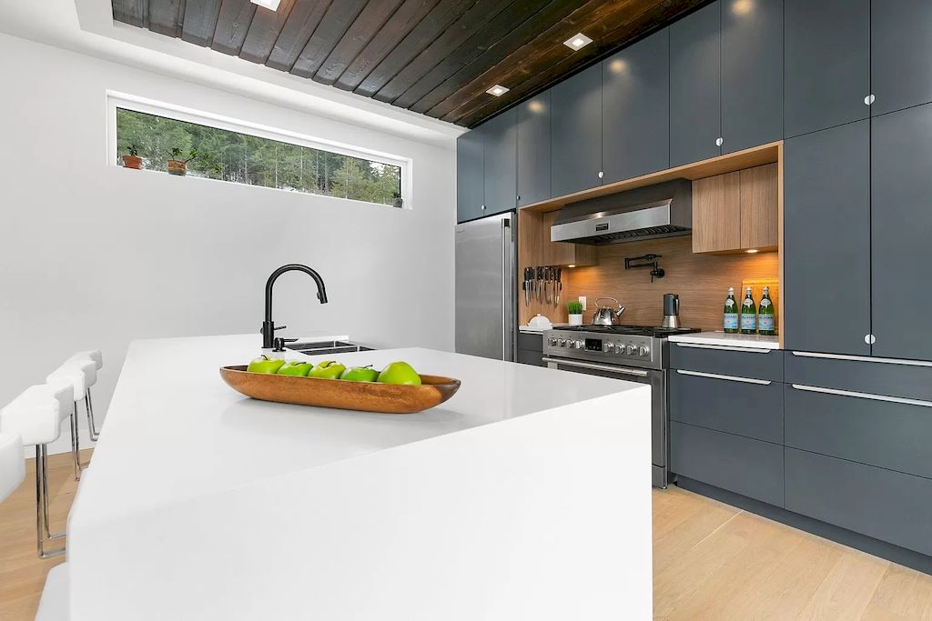 The House in Whistler has the bone structure, premium steel framing, makes for extra energy efficiency, incredible design options and healthy environment, now available for sale