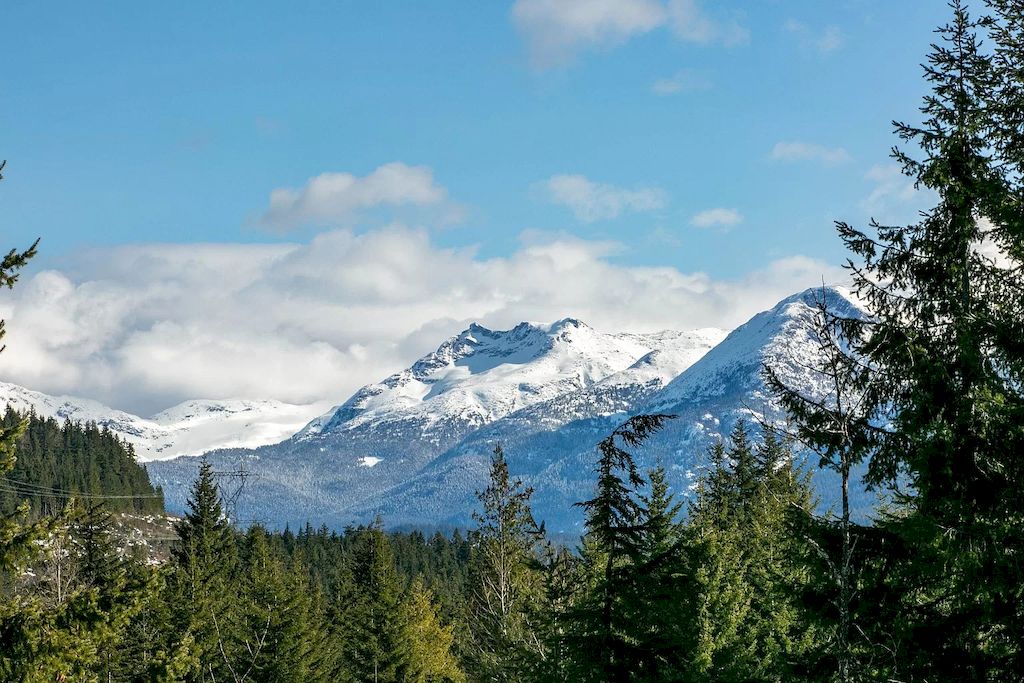 The House in Whistler has the bone structure, premium steel framing, makes for extra energy efficiency, incredible design options and healthy environment, now available for sale