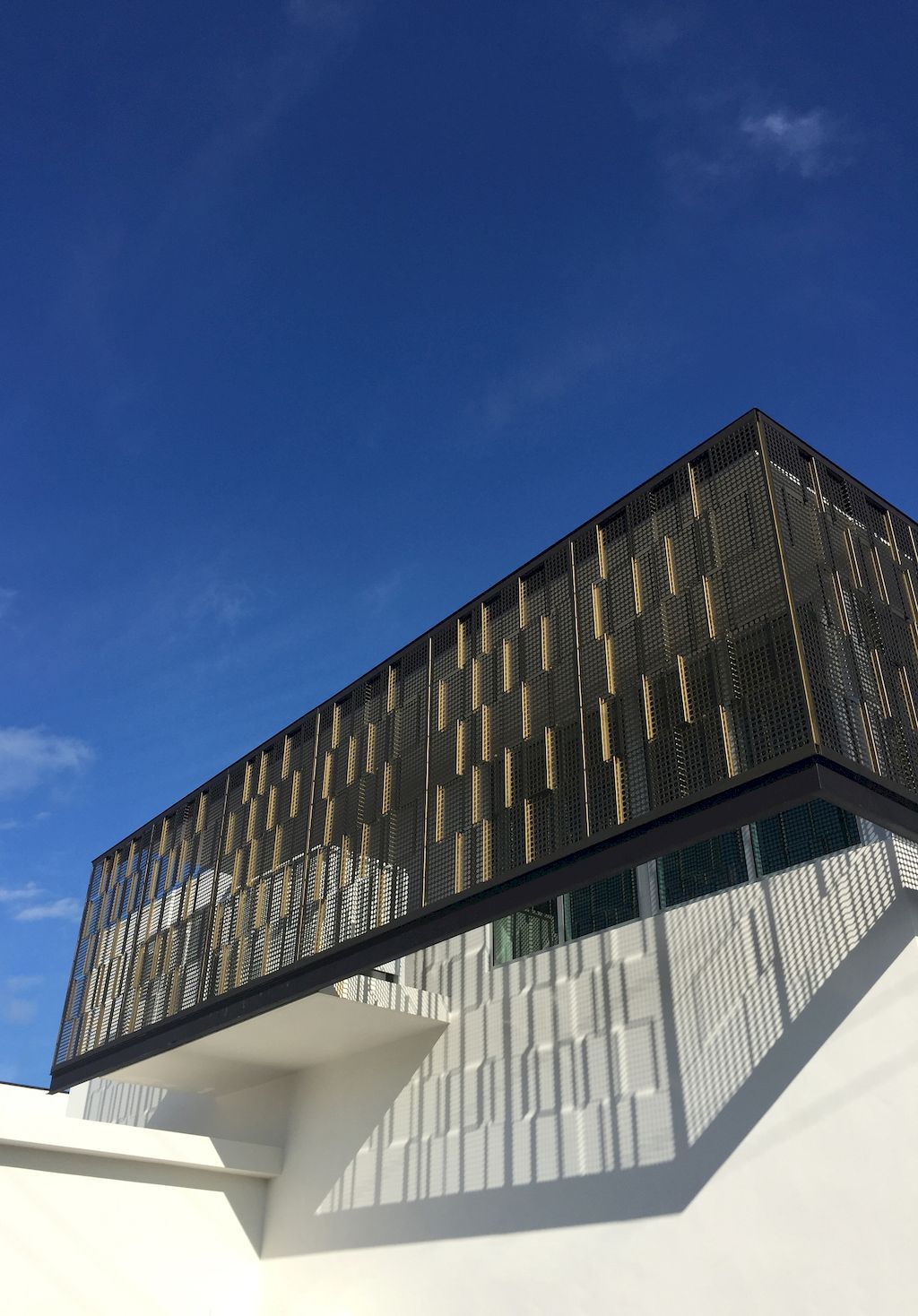 Pine Tree House takes indoor-outdoor living to the extreme by SAOTA