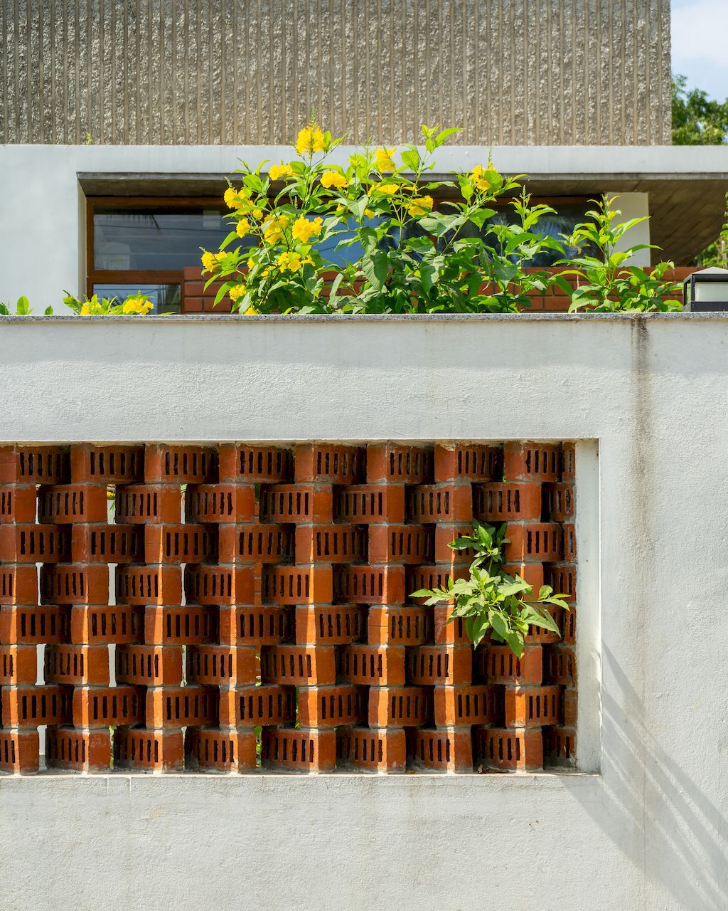 Rooted House a simple yet bold aesthetic in India by Triple O Studio 13