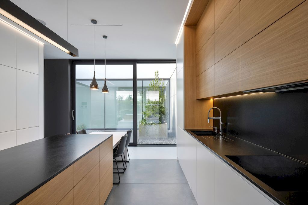 House on One Level with Impressive Exterior by RS Robert Skitek 57