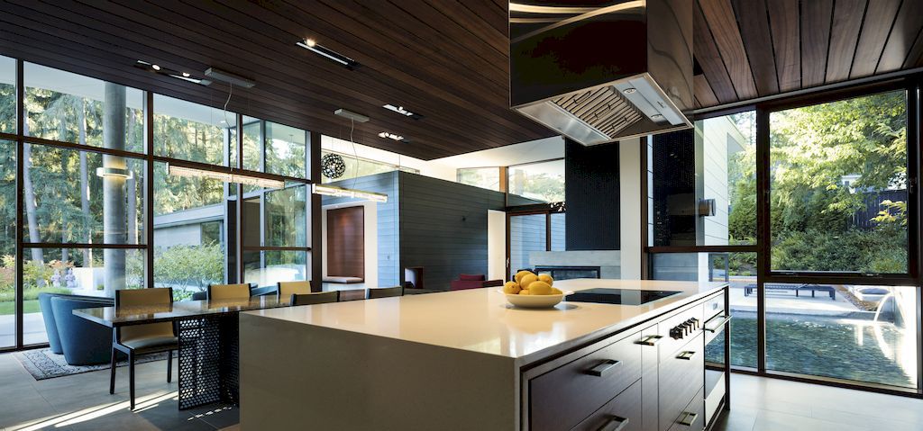 Inside Outside House in Washington by David Coleman Architecture 15