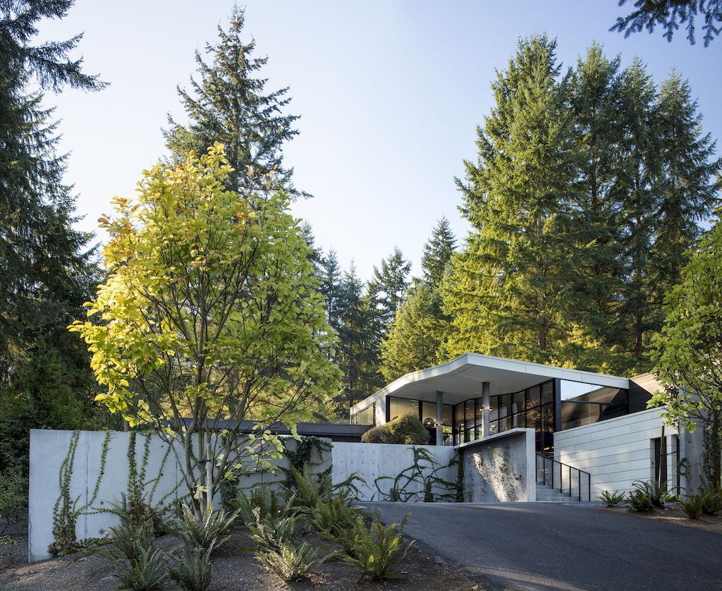 Inside Outside House in Washington by David Coleman Architecture 6