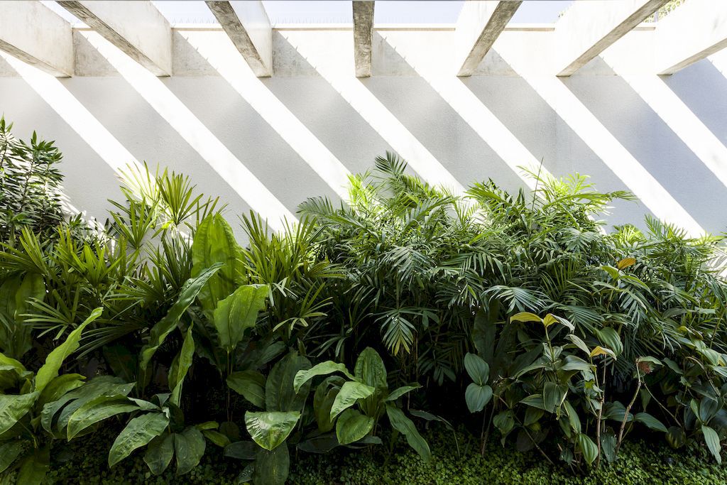 JR House a Comfort Home in Brazil by Pascali Semerdjian Arquitetos 1