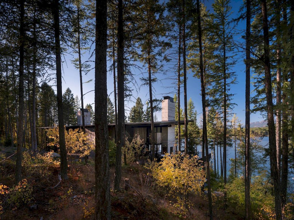 Dragonfly House, a Wonderful Indoor - Outdoor House by Olson Kundig