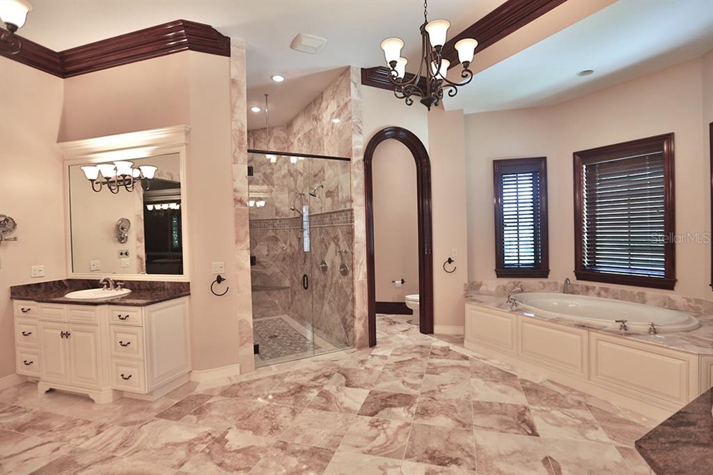 3956 NW 85th Terrace, Ocala, Florida is a spectacular residence perfect for family living and entertaining with open floor plan, resort style screen enclosed pool, summer kitchen, beautiful sunsets overlooking the golf course.