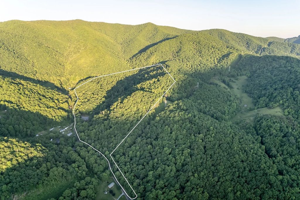 The Estate in Canton incorporates elements from the land with sustainable materials, now available for sale. This home located at 16 Gihon Waters Trl, Canton, North Carolina