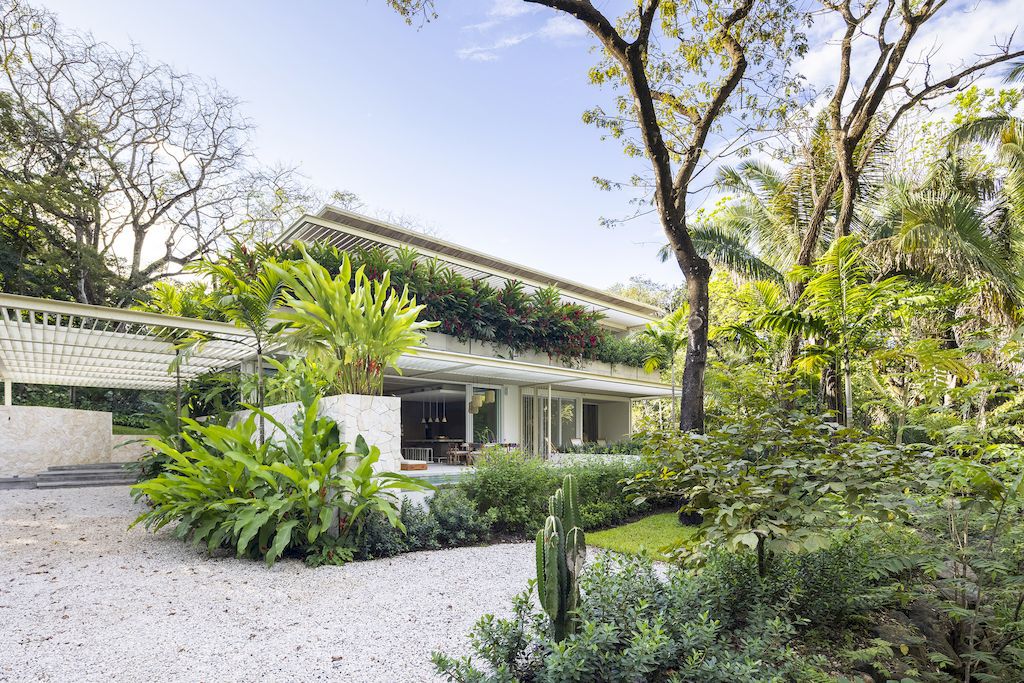 Casa Azucar, an Oasis Blends Indoor and Outdoor Living by Studio Saxe