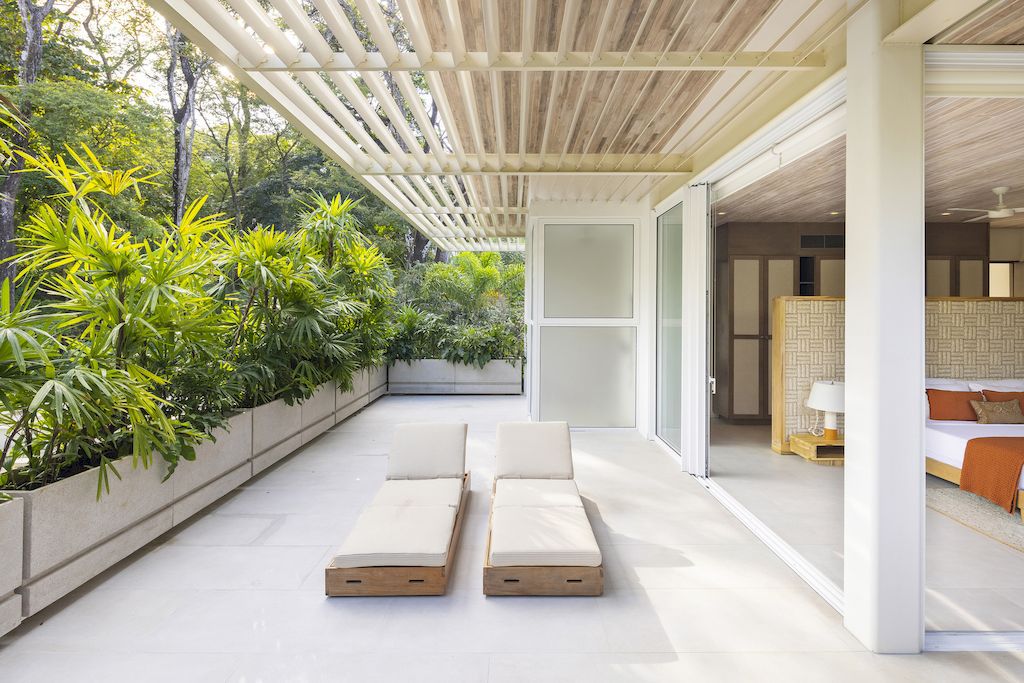 Casa Azucar, an Oasis Blends Indoor and Outdoor Living by Studio Saxe