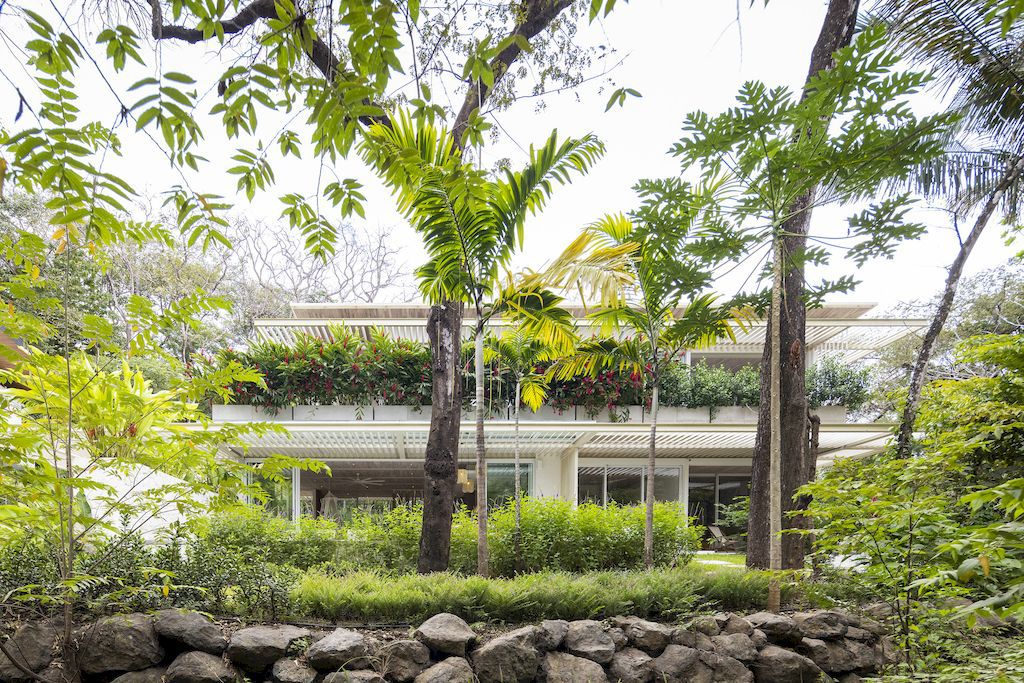 Casa Azucar an Oasis Blends Indoor and Outdoor Living by Studio Saxe 23
