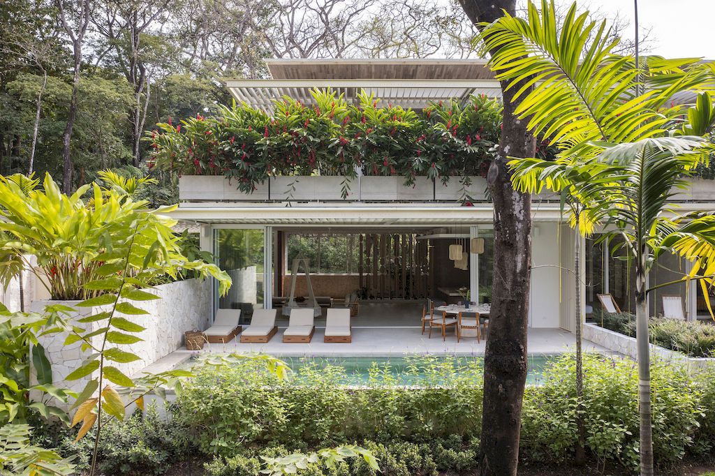 Casa Azucar an Oasis Blends Indoor and Outdoor Living by Studio Saxe 29