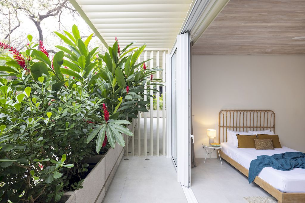 Casa Azucar, an Oasis Blends Indoor and Outdoor Living by Studio Saxe