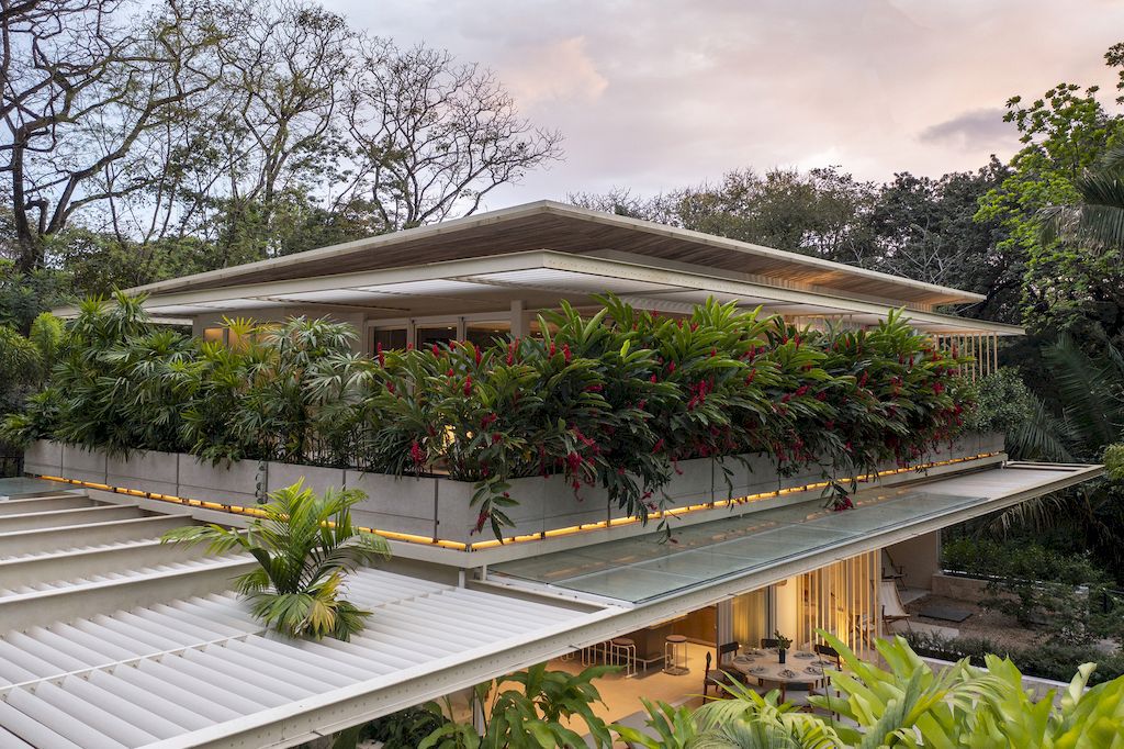 Casa Azucar, an Oasis Blends Indoor and Outdoor Living by Studio Saxe