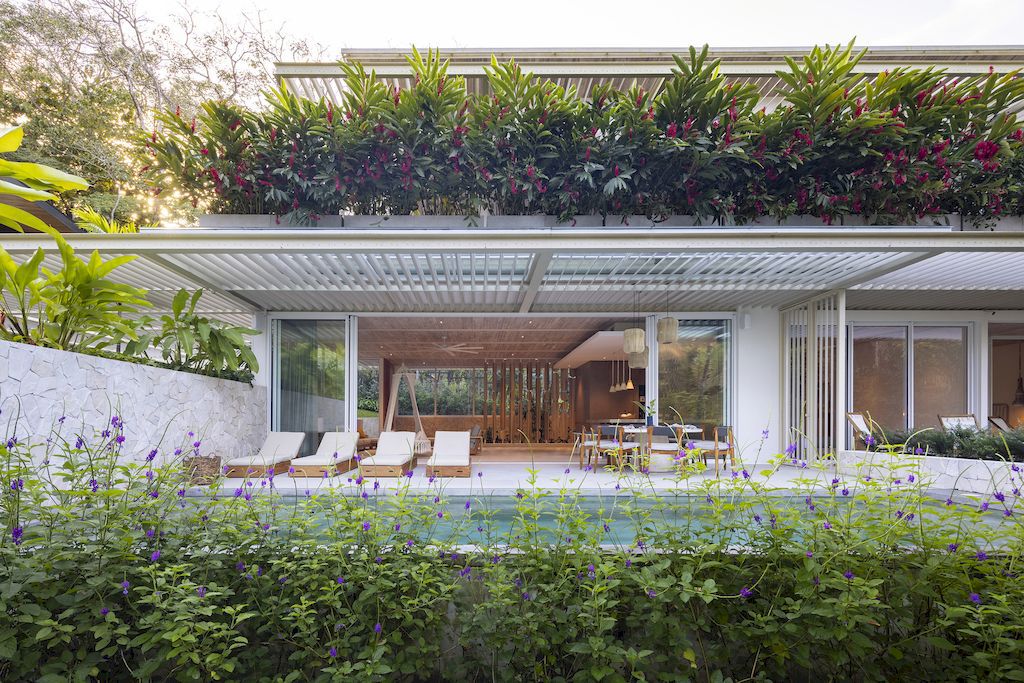 Casa Azucar an Oasis Blends Indoor and Outdoor Living by Studio Saxe 6