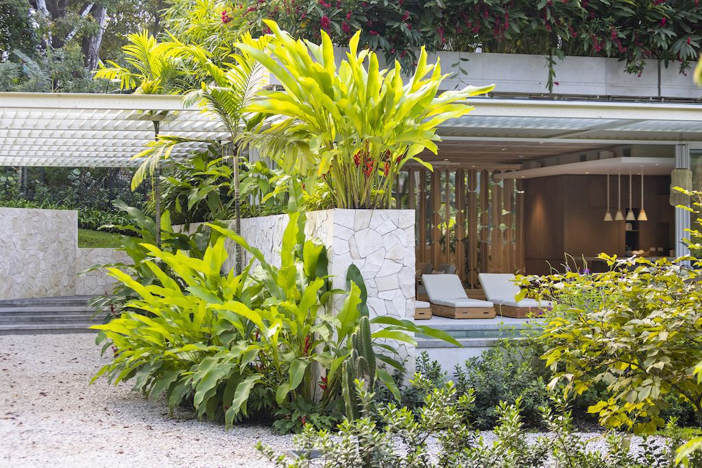 Casa Azucar, an Oasis Blends Indoor and Outdoor Living by Studio Saxe