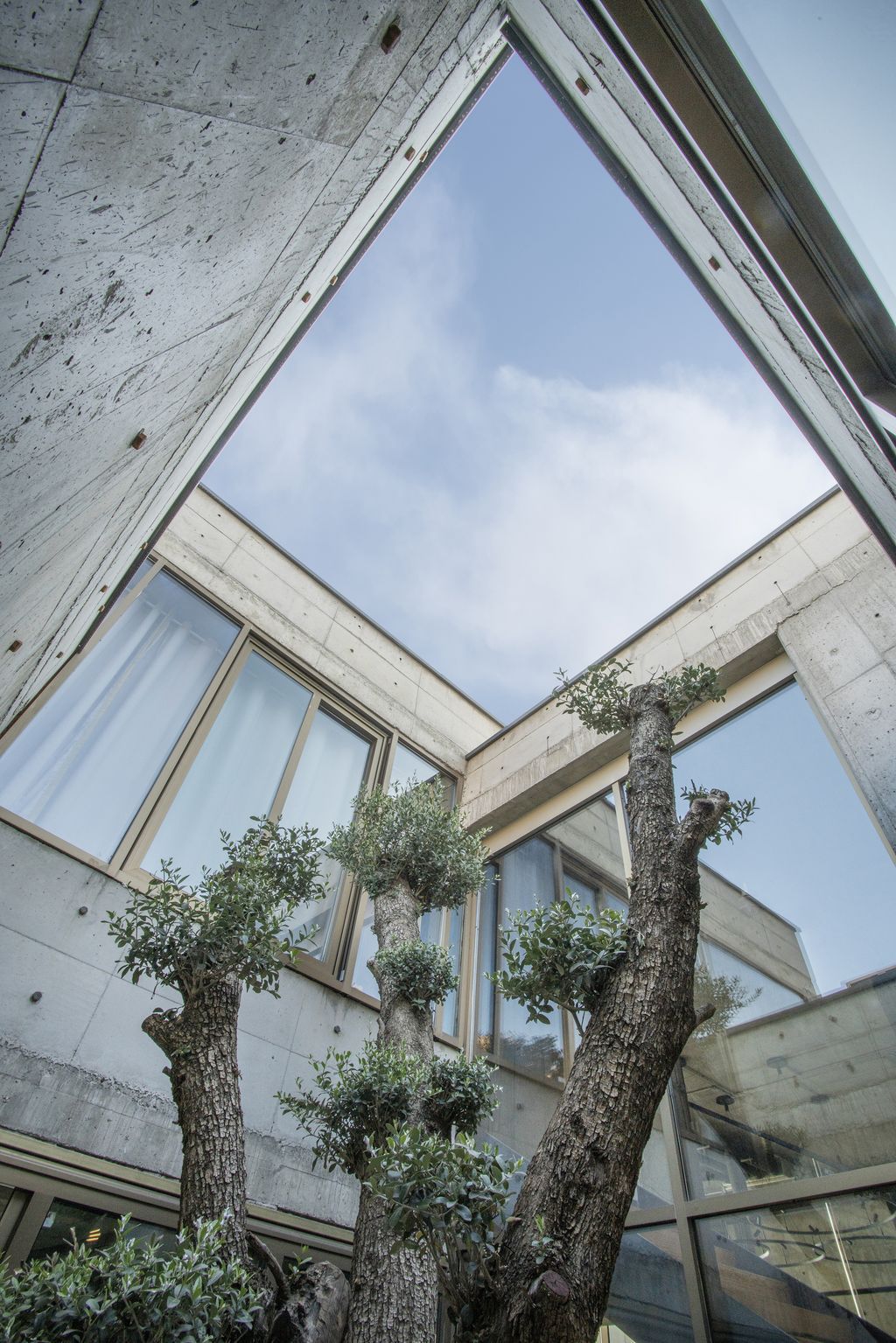Bagh Shahr Villa, Prominent Home on Slope in Iran by Experience Studio