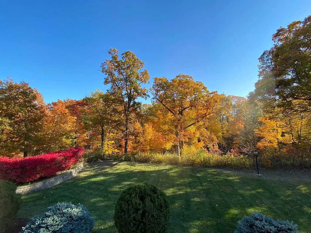 Step into a World of Natural Wonder and Tranquility with This Spectacular $2.649M Home in Highland Park, IL