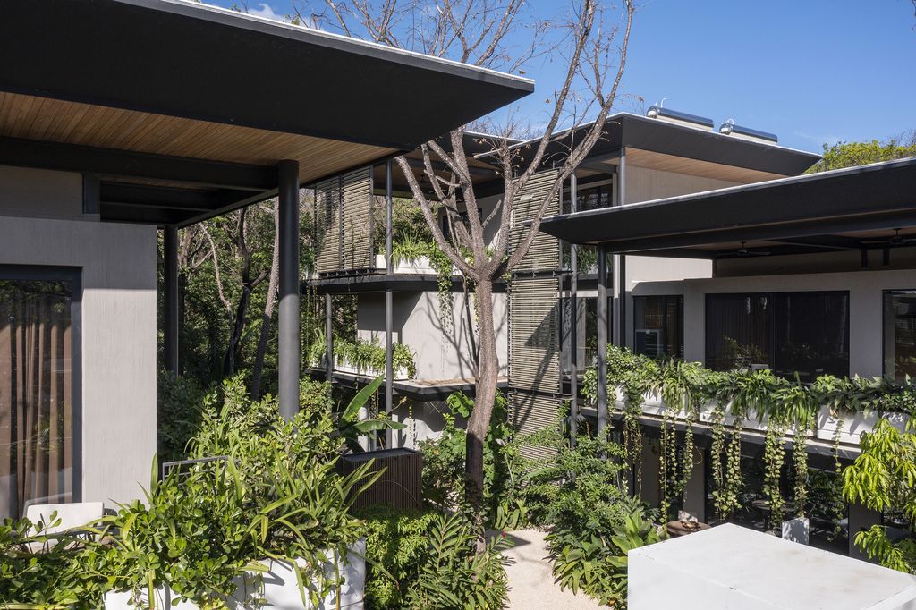 Quin Surf Residence, Gracefully Intertwine with Nature by Studio Saxe 6 Quin Surf Residence, Gracefully Intertwine with Nature by Studio Saxe