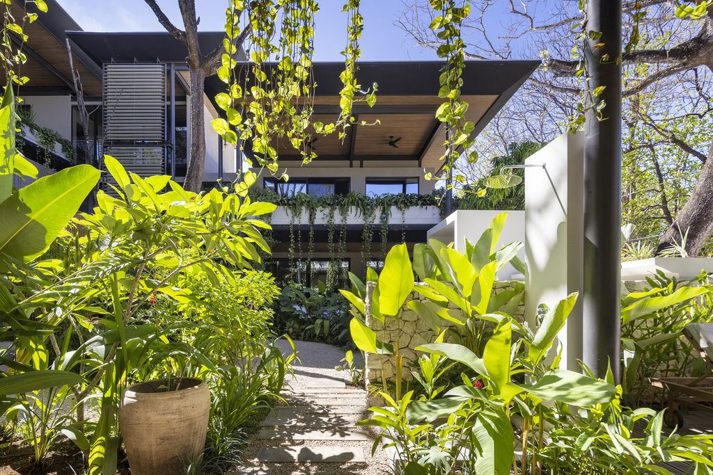 Quin Surf Residence, Gracefully Intertwine with Nature by Studio Saxe 5 Quin Surf Residence, Gracefully Intertwine with Nature by Studio Saxe