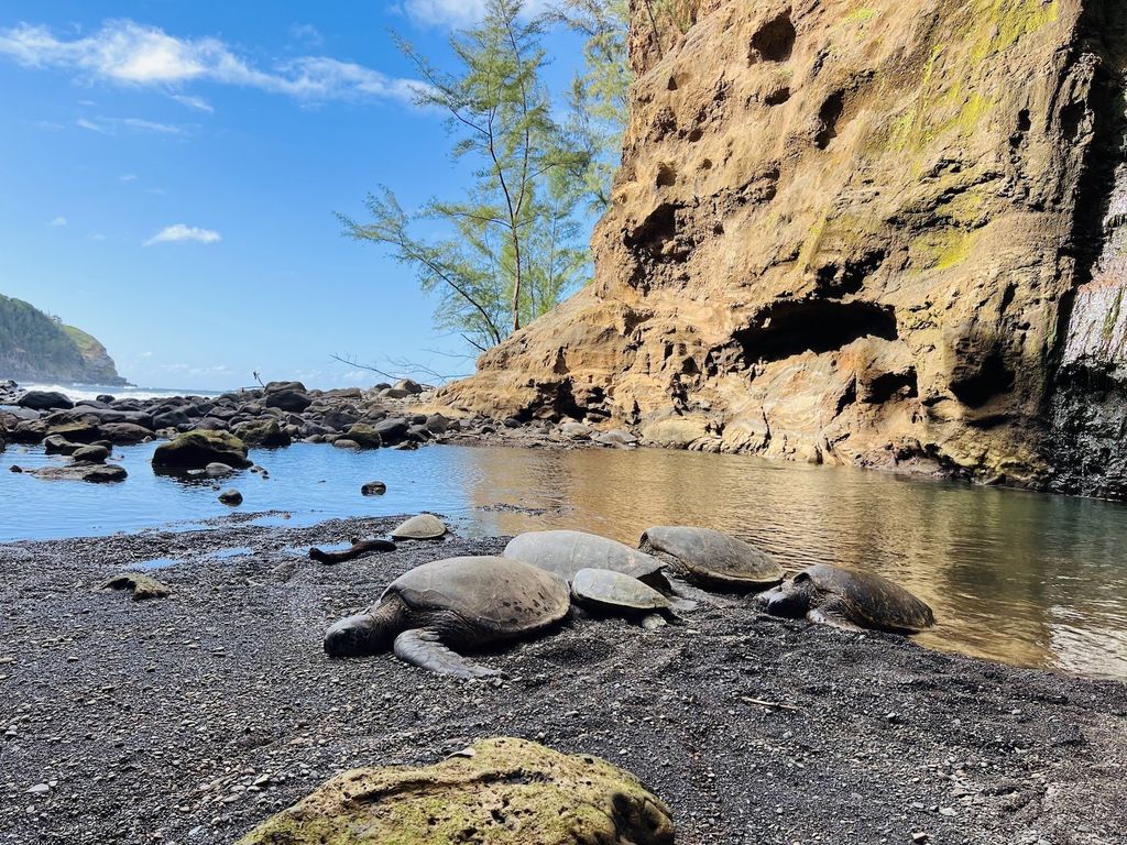 Captivating North Shore Estate: A Private Oceanfront Sanctuary on 20.5 Acres in Haiku, HI Seeks $16.4 Million