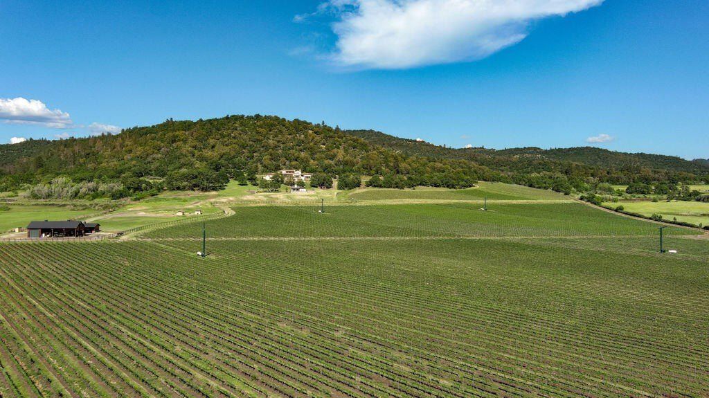 Extraordinary Estate: Celtic Moon Vineyards - Wine Lover's Dream in Eagle Point, OR Asking Price $5.75 Million