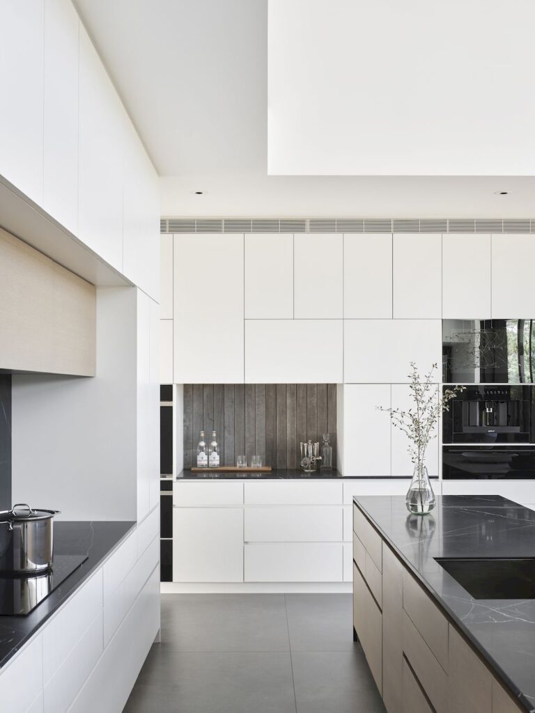 Rau Haus House to preserve surrounding views by Feldman Architecture 10